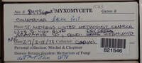 Image Associated With the Occurence